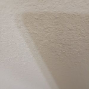 Meet your Posher, Damian